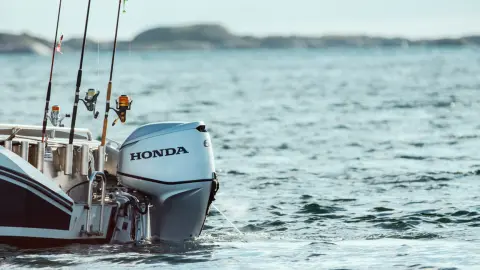 Primo piano del motore BF60 in acqua.